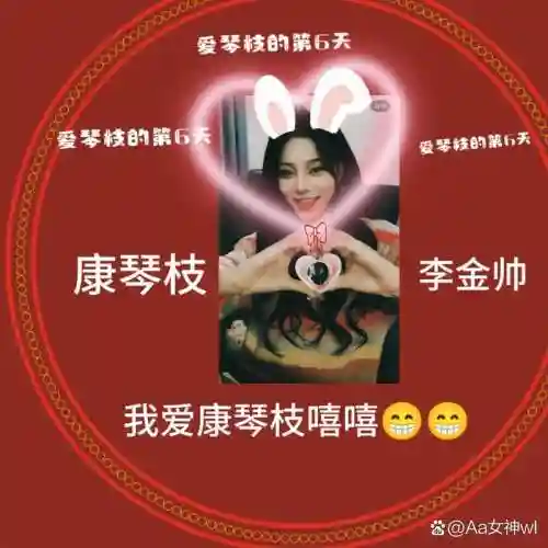 琴枝阵容插图1