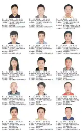 通缉榜阵容搭配插图