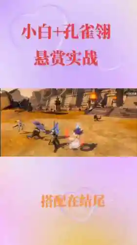 孔雀翎暗三阵容搭配插图