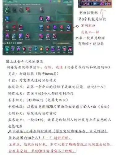 奶毒主要技能吗插图