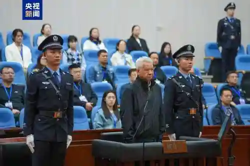 周主任阵容插图1