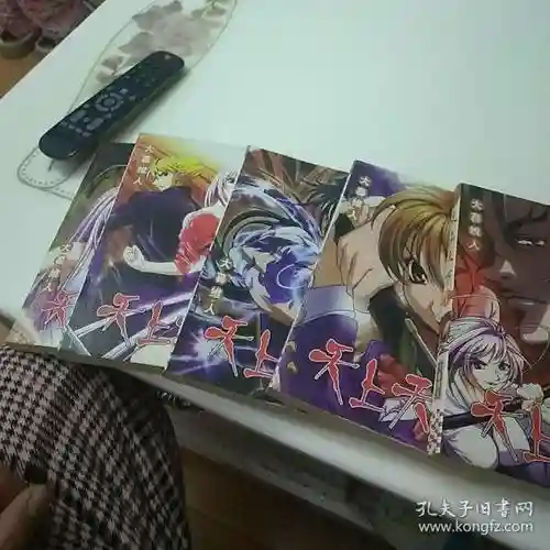 攻略天上天下的小说插图