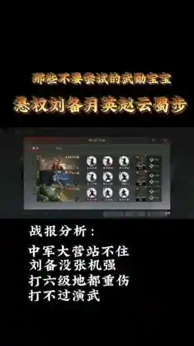 赵云刘备阵容搭配插图1
