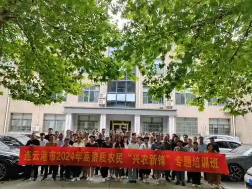 兴农阵容搭配