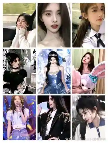 鞠宝阵容插图1