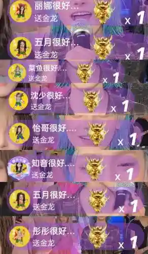 琴枝阵容插图