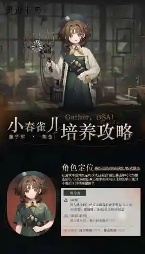小春雀阵容搭配插图