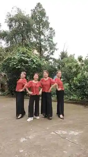 大妈阵容图片插图1