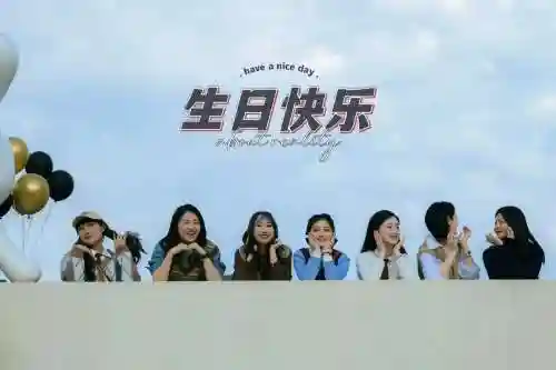 美好年华阵容