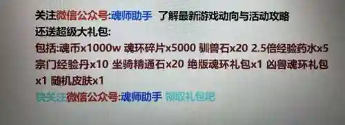 萧鼎阵容搭配插图1