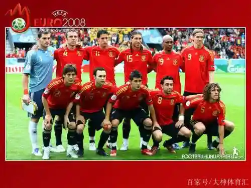 2008西班牙阵容插图1