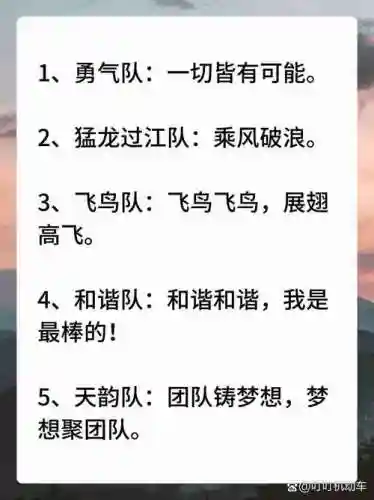 勇气队阵容插图1