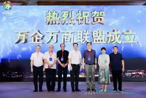数商阵容搭配插图