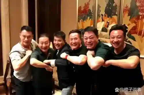 人到中年阵容