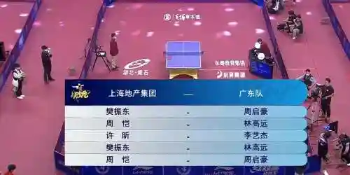 沪队阵容插图