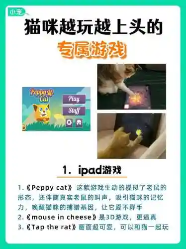 平板上猫玩的游戏攻略插图1