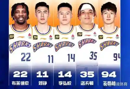 大鲨鱼阵容插图