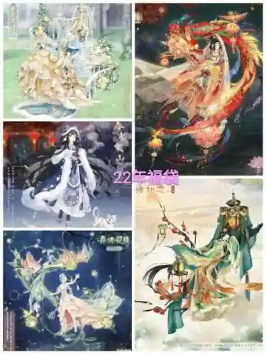 白羽阵容搭配插图