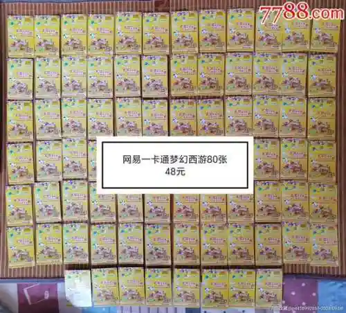 梦幻西游测试区专用点卡插图