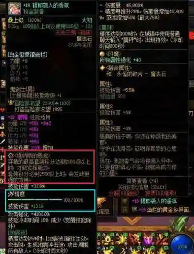dnf保护装备插图