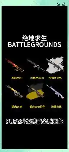 绝地求生电脑版所有武器_1插图
