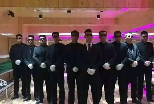 保镖阵容搭配_1插图
