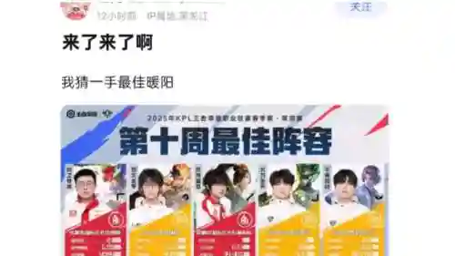 第10周最佳阵容搭配插图