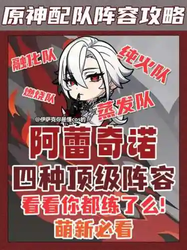 阿里奇阵容搭配_1插图
