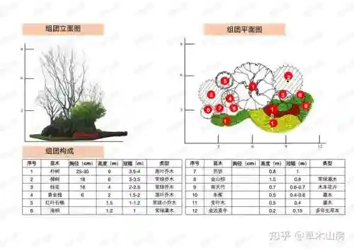 植物阵容搭配图表_1插图1