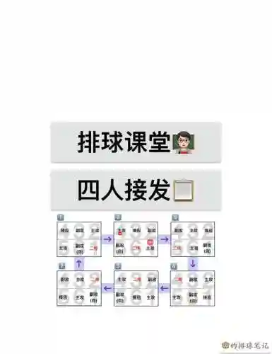排球五一搭配阵容_1插图1