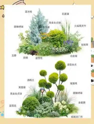 植物阵容搭配图表_1插图