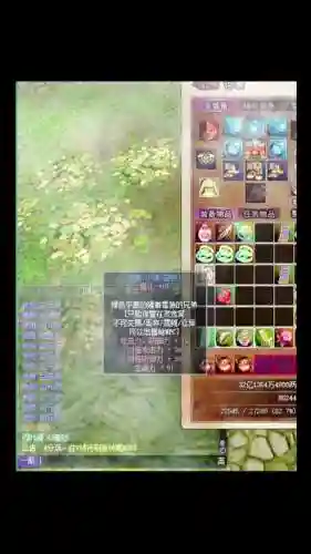 灵宠装备镶嵌_1插图1