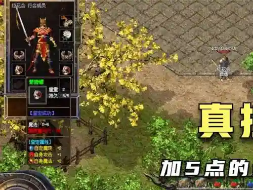 龙城霸业祖玛装备_1插图1