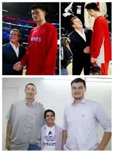 姚明搭配什么阵容插图