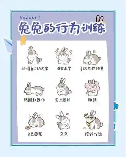 兔子营救74关攻略插图1