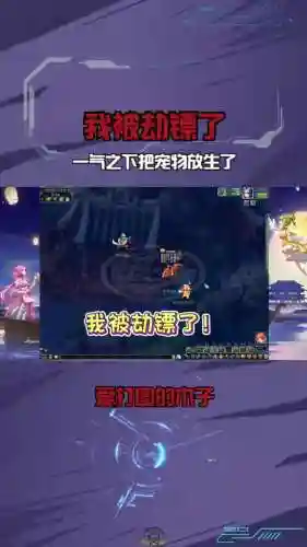 梦幻西游怎么放生插图1