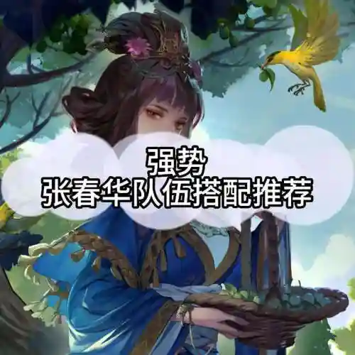 张春华搭配阵容插图1