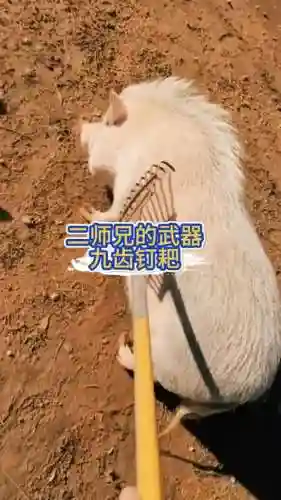 邯郸二师兄武器_2插图
