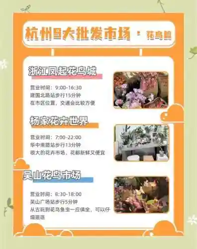 杭州新零售攻略