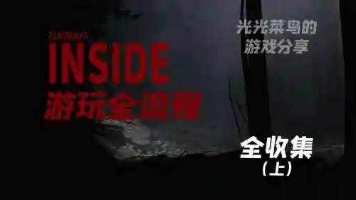 inside收集攻略插图