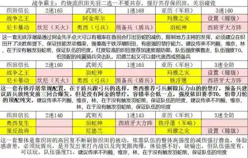 文明与征服阵容萨拉丁搭配_2插图1