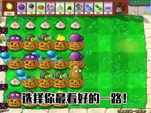 随机植物阵容_1插图1