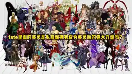 fatego英灵阵容搭配插图