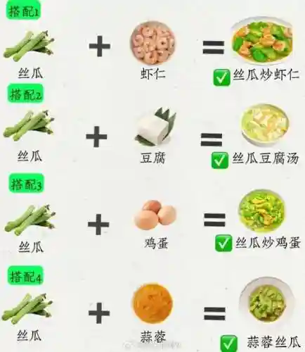 食物阵容搭配大全插图