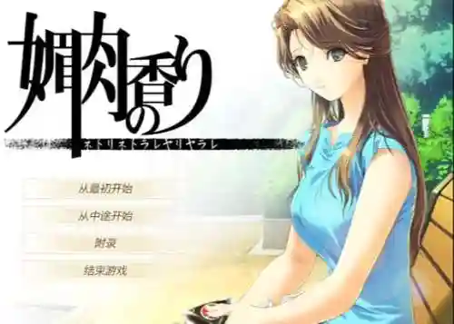 媚肉之香通关攻略插图