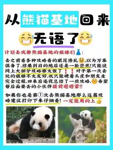 快马加鞭攻略插图