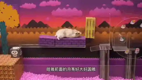 小老鼠逃离密室15攻略，小老鼠迷宫插图1