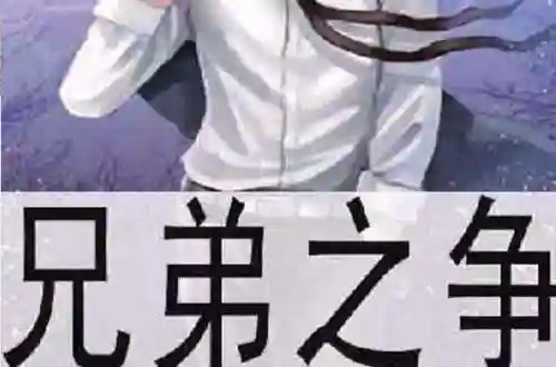 兄弟之争攻略，兄弟之争攻略图插图1