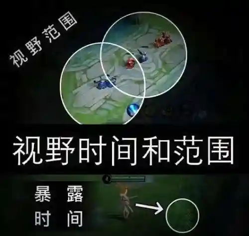 的一技能可以用探测没有视野草插图