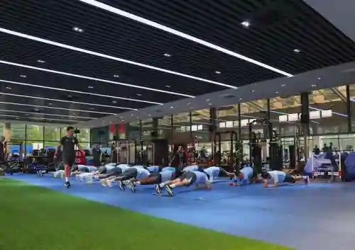 体育馆豪华治疗阵容搭配，高端体育馆插图